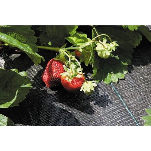 09eda22fd6ba06cee0c6cf870cccb6b3