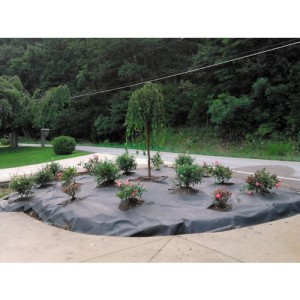 Mata przeciw chwastom 1x20m standardowej jakości Rutland RTL5235100K