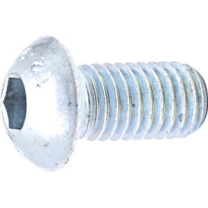 Śruba M10x25 SKT imbusowa zaokrąglony łeb 10.9 ocynkowana 100szt. Qualfast QFT6044503D