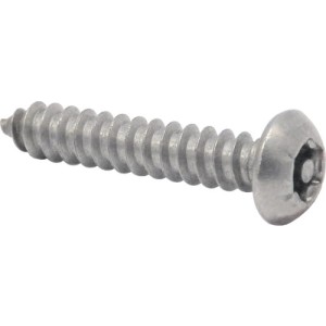 Śruba Torx No8x3/4" samogwintująca z zabezpieczeniem A2 nierdzewna łeb grzybkowy 100szt. Qualfast QFT6373318V