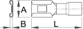 81e34fe7d31e30512e48a260c7be9fd8