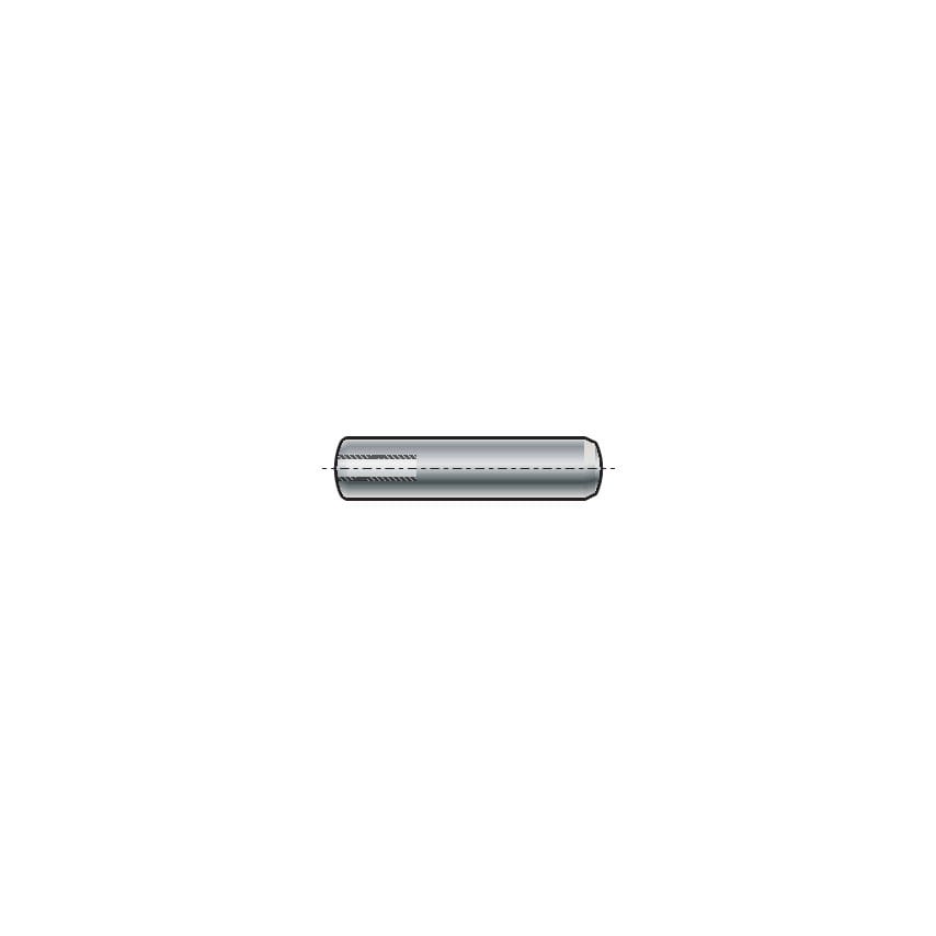 Kołki stalowe 10x80mm z gwintem wewnętrznym 100szt. Qualfast QFT6500244G