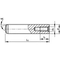 Kołki stalowe 12x36mm z gwintem wewnętrznym 100szt. Qualfast QFT6500245X