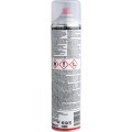 PR025A PROFESSIONAL BRAKECLEANER 600ml Holts HLT7326620K