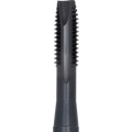 Gwintownik maszynowy 3/8"x16 UNC HSS calowy Sherwood SHR0850870E